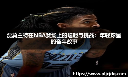 九游体育官方网站