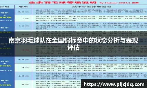 南京羽毛球队在全国锦标赛中的状态分析与表现评估